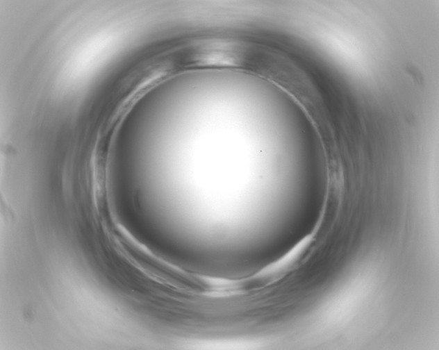 X0000090951487200708021327