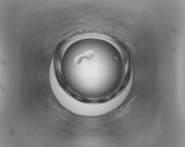 X0000090951490200708021326