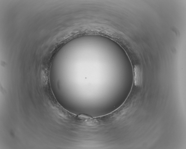 X0000090951491200708021326