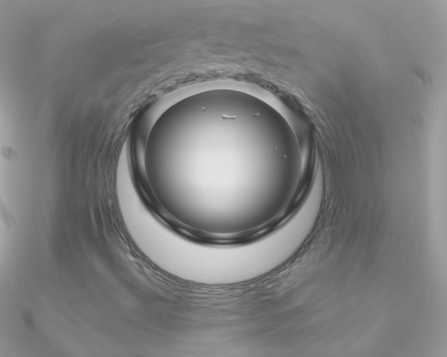 X0000090951492200708021326