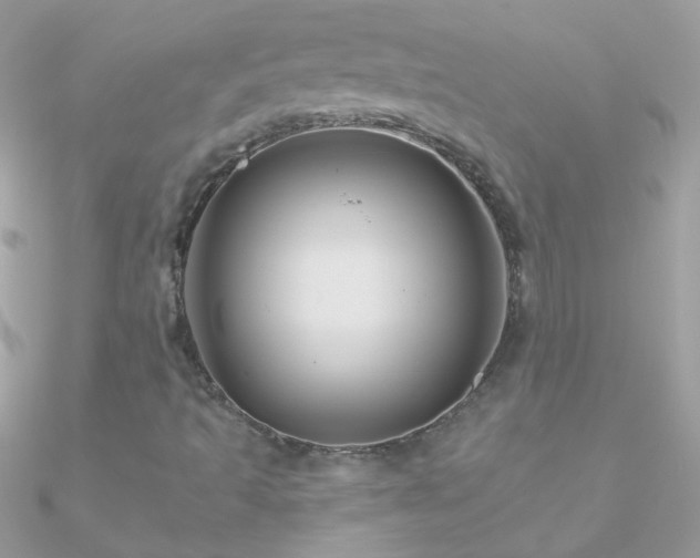 X0000090951493200708021326
