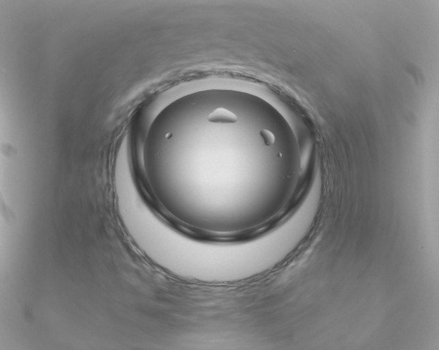 X0000090951494200708021326
