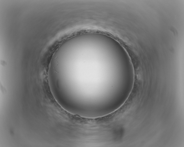 X0000090951495200708021326