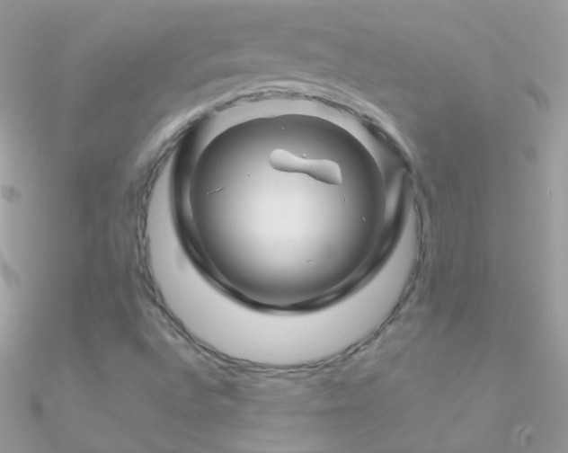 X0000090951496200708021326