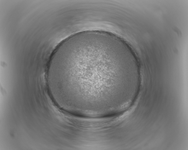X0000090951497200708021326