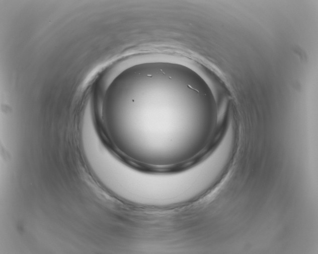 X0000090951498200708021326