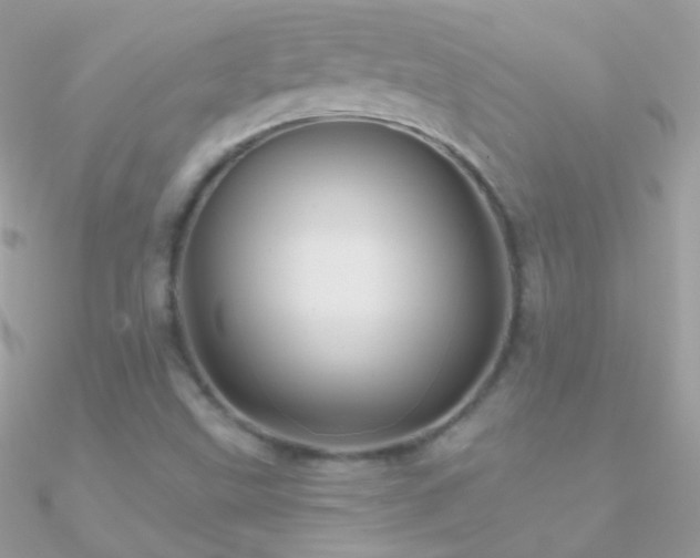 X0000090951499200708021326