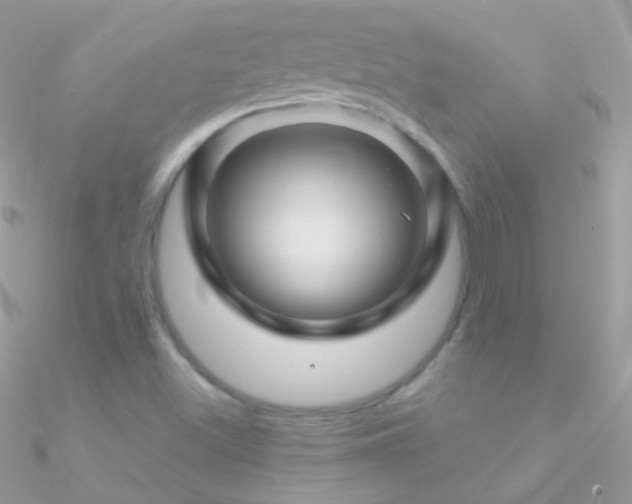 X0000090951500200708021326