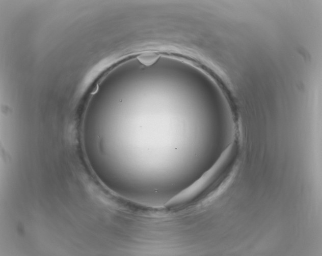 X0000090951501200708021326