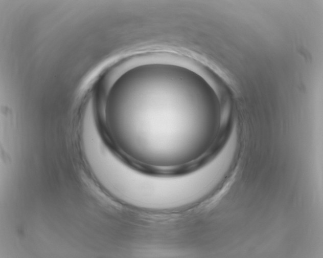 X0000090951502200708021326