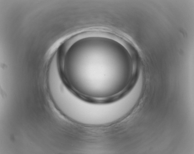 X0000090951504200708021326