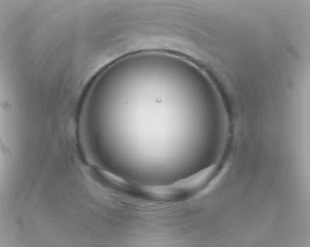 X0000090951505200708021326