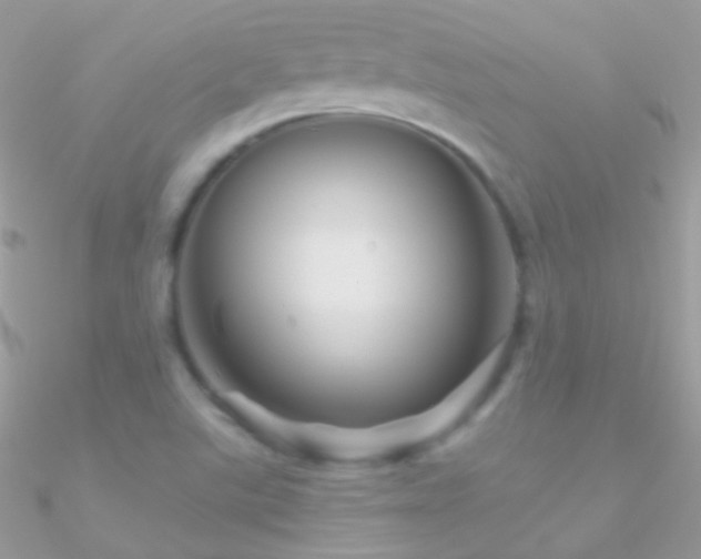 X0000090951507200708021326