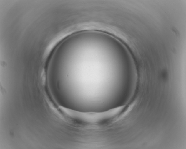 X0000090951509200708021326