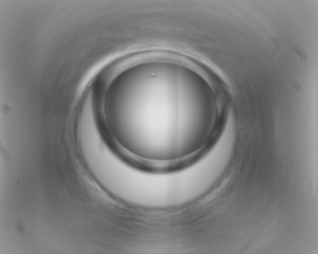 X0000090951510200708021326