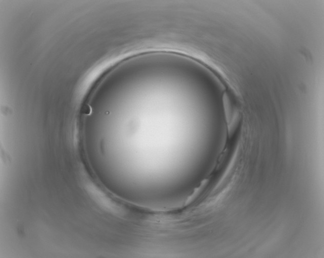 X0000090951511200708021326