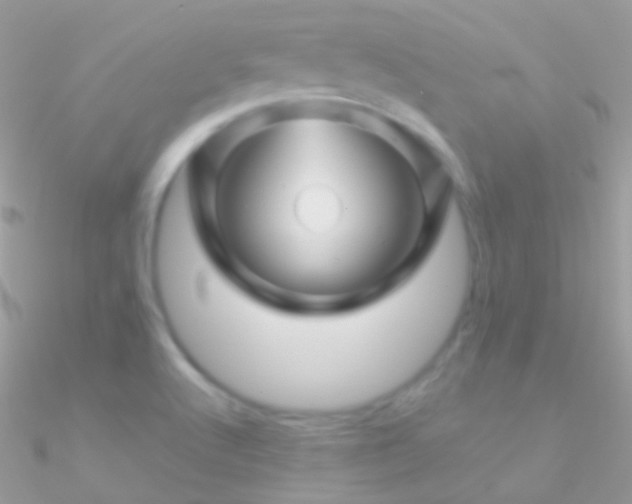 X0000090951512200708021327