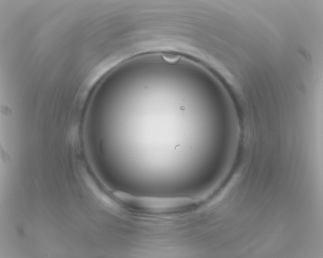 X0000090951513200708021327