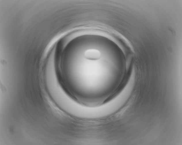 X0000090951514200708021327