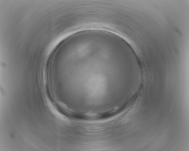 X0000090951515200708021327