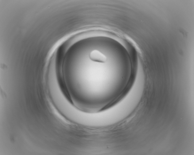X0000090951516200708021327
