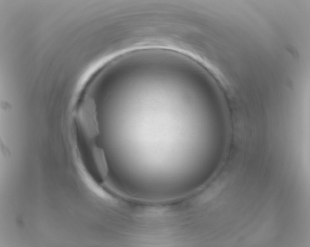 X0000090951519200708021327