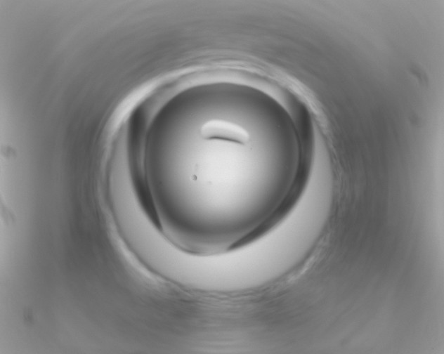 X0000090951520200708021327