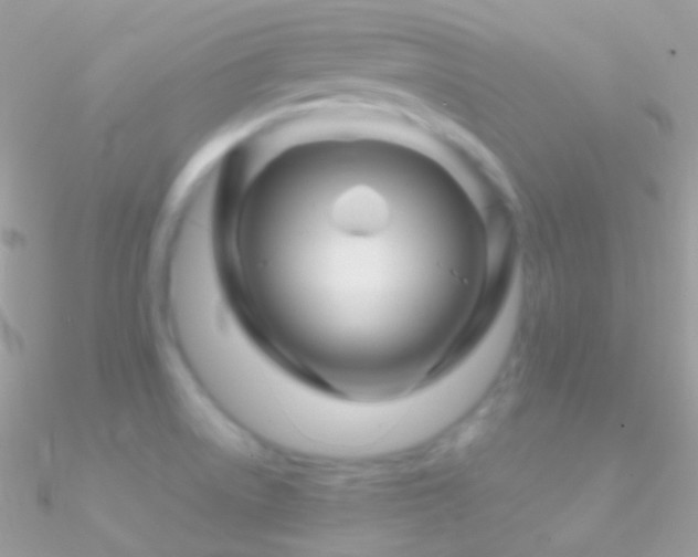 X0000090951522200708021327