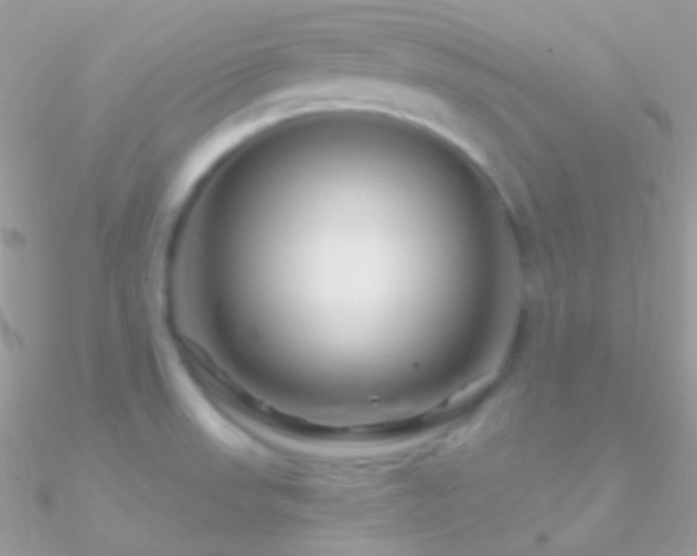 X0000090951523200708021327