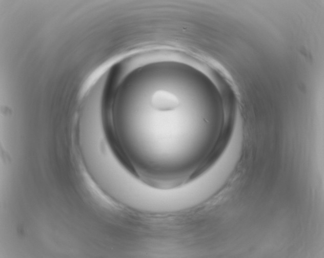 X0000090951524200708021327