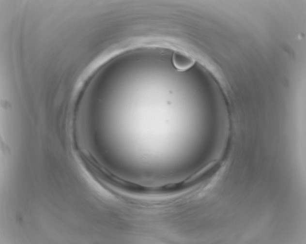 X0000090951525200708021327
