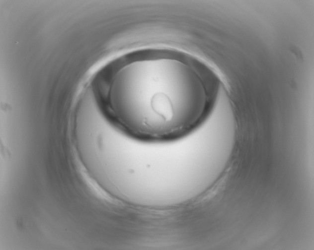 X0000090951526200708021327