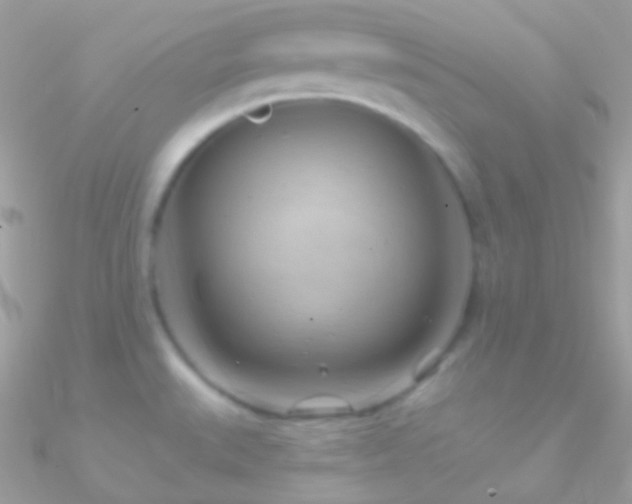 X0000090951527200708021327