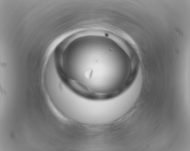 X0000090951528200708021327