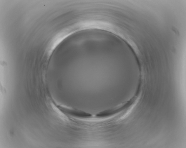 X0000090951529200708021327