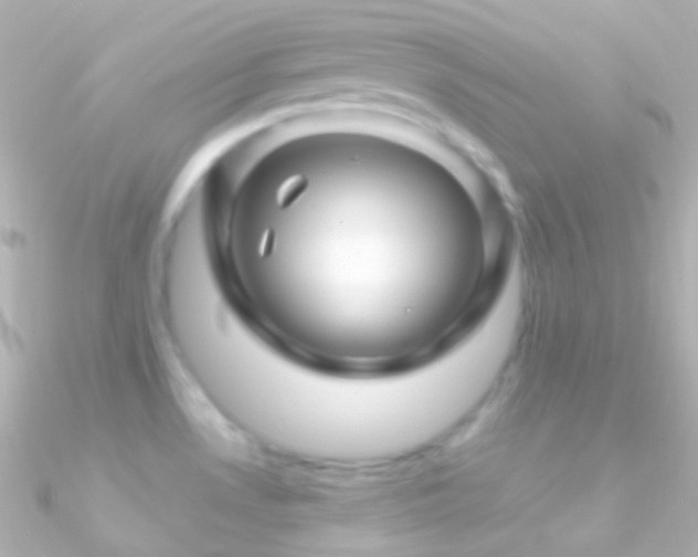 X0000090951530200708021327