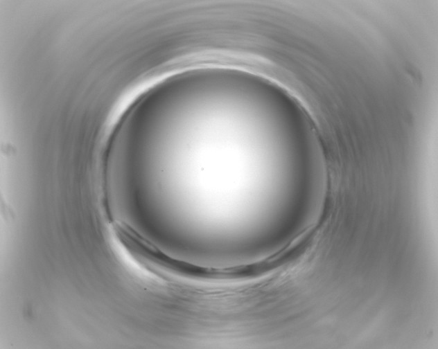 X0000090951531200708021327
