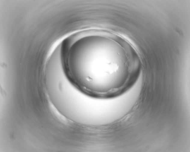 X0000090951532200708021327