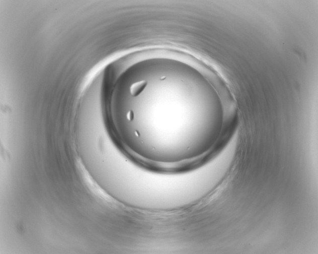 X0000090951534200708021327