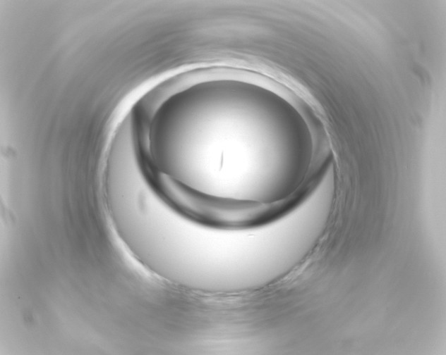 X0000090951536200708021327