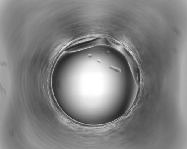 X0000090950001200708091336