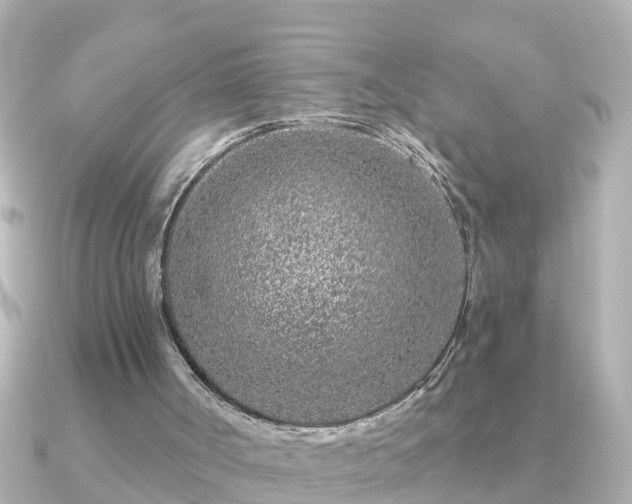 X0000090950002200708091336