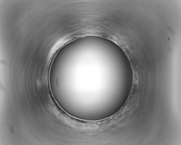 X0000090950004200708091336