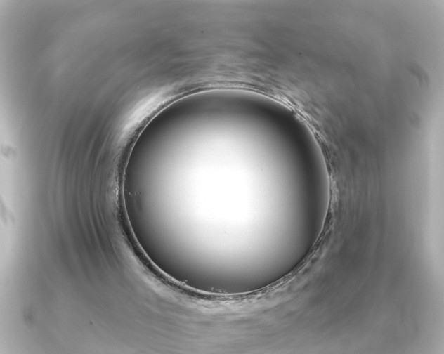 X0000090950005200708091336
