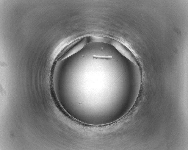 X0000090950007200708091336