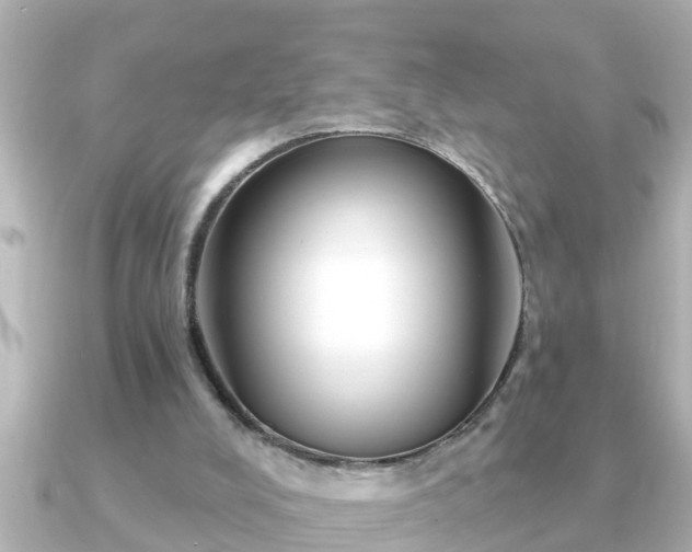 X0000090950008200708091336