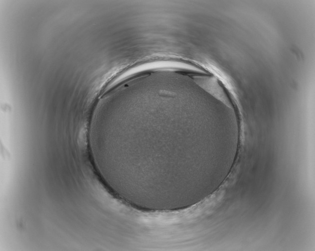 X0000090950009200708091336