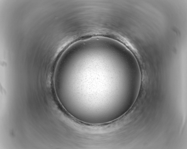 X0000090950010200708091336