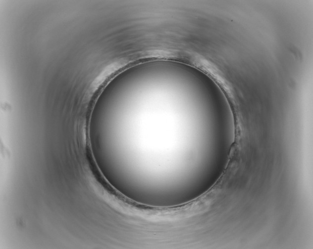 X0000090950011200708091336