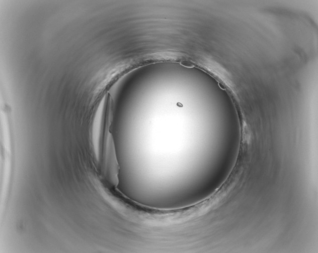 X0000090950013200708091336